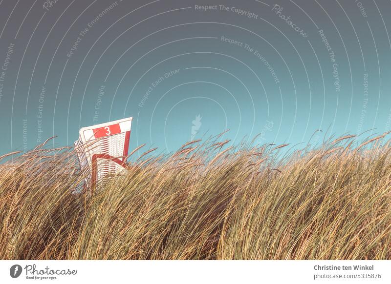 Vacation in beach chair No. 3 Beach chair Grass Sky Vacation & Travel Relaxation North Sea Nature North Sea coast tranquillity Deserted Summer Beautiful weather