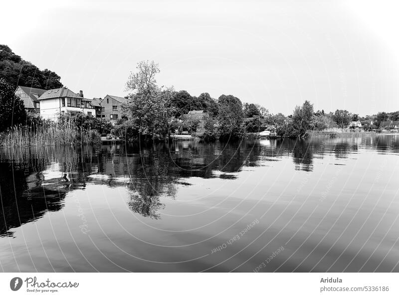 Lake shore with houses, trees and reeds in b/w Lakeside bank Water Footbridge Bushes Idyll Calm Contemplative boringly pretty Reflection Nature Landscape