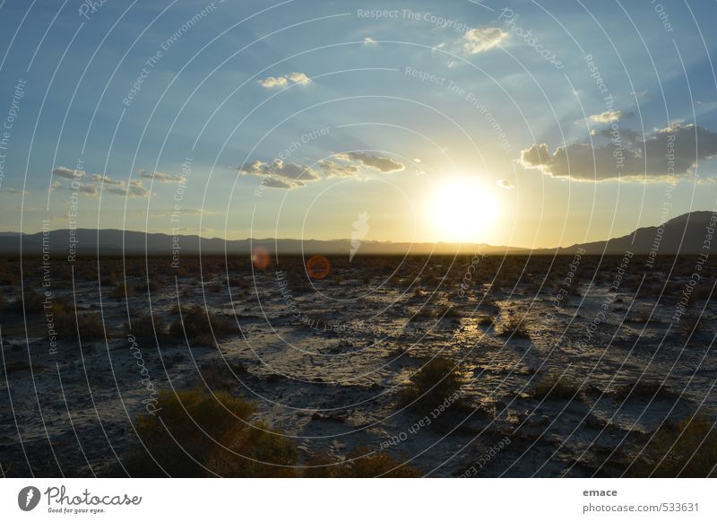 sunset Environment Nature Landscape Plant Earth Sand Sky Clouds Horizon Sun Sunrise Sunset Sunlight Summer Weather Beautiful weather Warmth Drought Bushes Hill