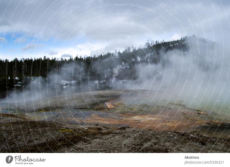 Yellow Stone National Park Geyser Crater Nature Water Steam Volcanic crater Landscape Outdoors naturally Geothermy geothermal energy Heat Smoke Geology Hot