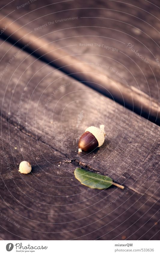 French Style XXXVIII Art Esthetic Contentment Nut Acorn Oak leaf Table Autumn Brown Green Colour photo Subdued colour Exterior shot Close-up Detail