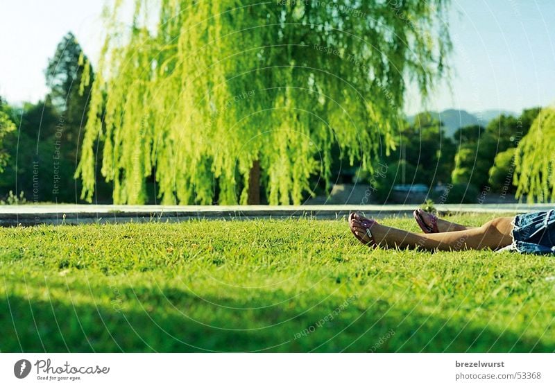 Flip-flops in the park Sandal Dress Woman Summer Green Weeping willow Sunset Meadow Grass Argentina Denim skirt Vacation & Travel Calm Relaxation Goof off Legs