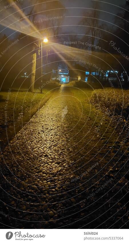 paved sidewalk at night with yellow lighted street lamp Night off paving Small patch Rain Wet Right ahead Empty Meadow Tree Berlin tegel harbour Flare