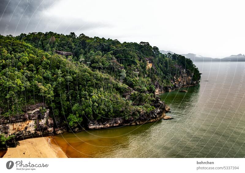 the beach Deserted Wanderlust pretty Impressive Bako National Park Sarawak Exceptional Exotic Fantastic Asia Malaya Borneo Ocean Beach coast Rock Virgin forest