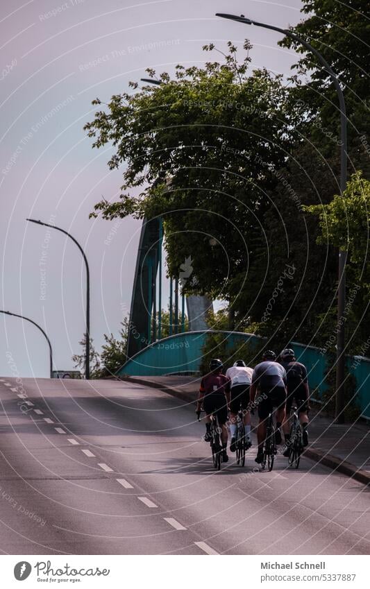 4 sporty cyclists on a bridge Cycling Cycling with helmet Bridge Town cityscape Bicycle Transport Street Sports Outdoors urban Movement activity City Bikers