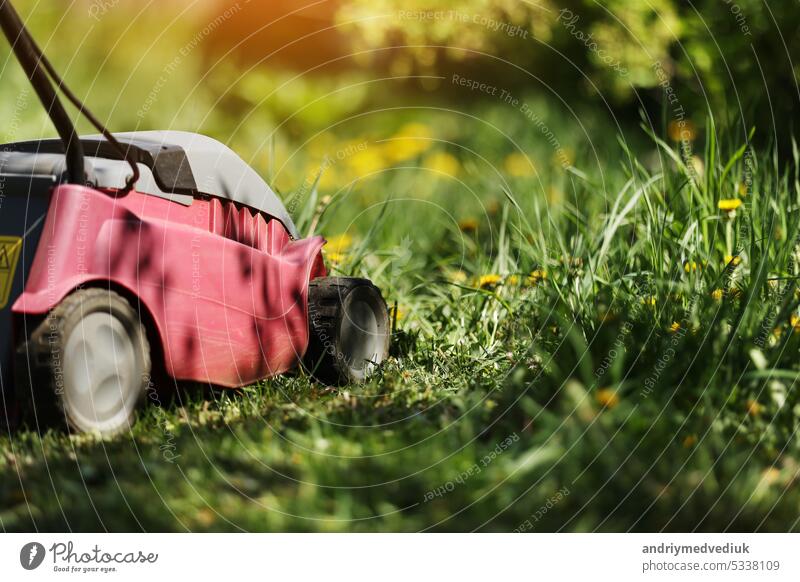 Hand electric red Lawnmower during the first mowing of a green fresh lawn with spring flowers, sunlight. Home garden care. Garden and backyard landscape lawnmower service and maintenance. sunlight.