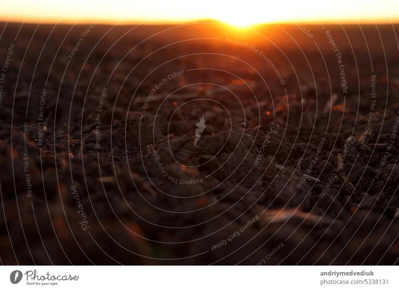 Agriculture and agribusiness concept. Beautiful rural landscape view of large plowed agricultural field of black soil on orange sunset. Preparation farmland for sowing crops and planting vegetables.