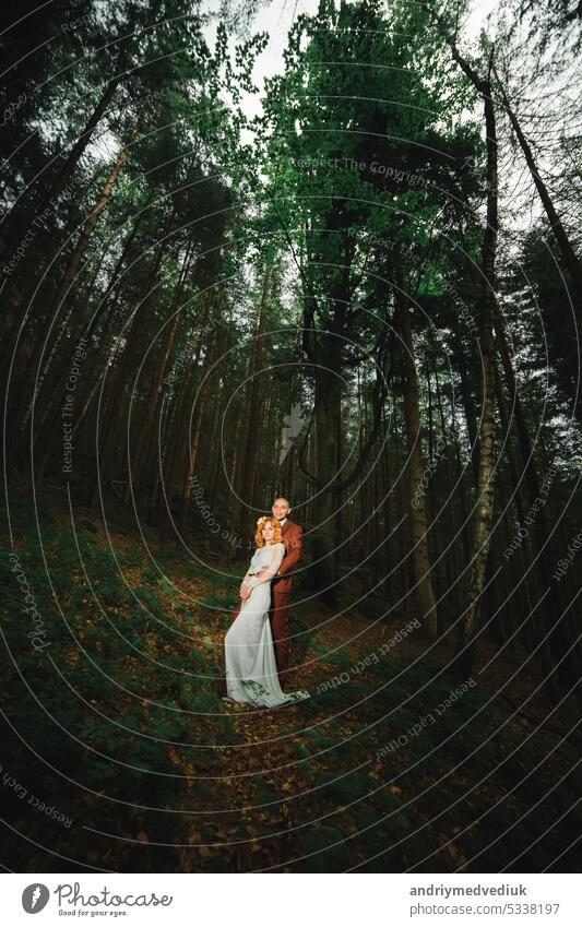 The bride and groom go through the forest hand in hand. Happy bride and groom holding hands and walking in forest on wedding day. happy nature white summer love