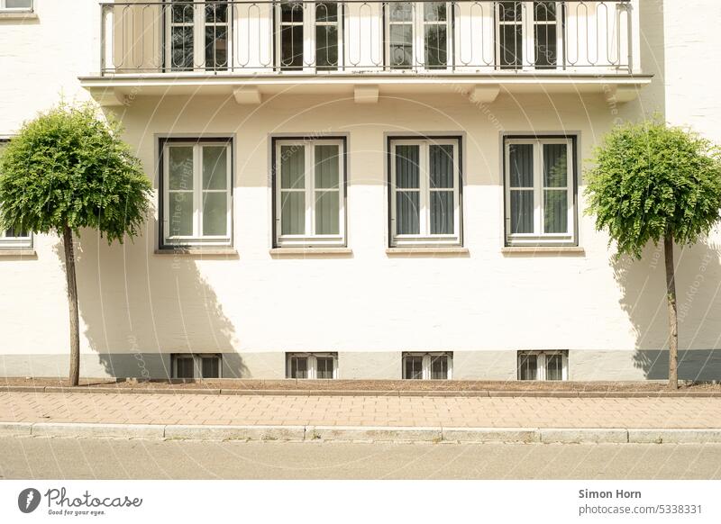 Geometry of a facade with symmetrical nature Symmetry Facade Architecture representative Structures and shapes tidied clear lines trees civilized Design Line