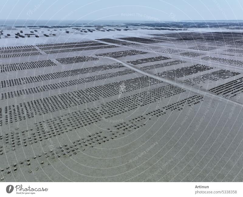 Aerial view of Oyster farm. Sustainable farming. Oyster farming is an aquaculture practice. Oyster farming at Ang Sila town, Chonburi, Thailand. Landscape oyster beds at low tide on summer sunny day.