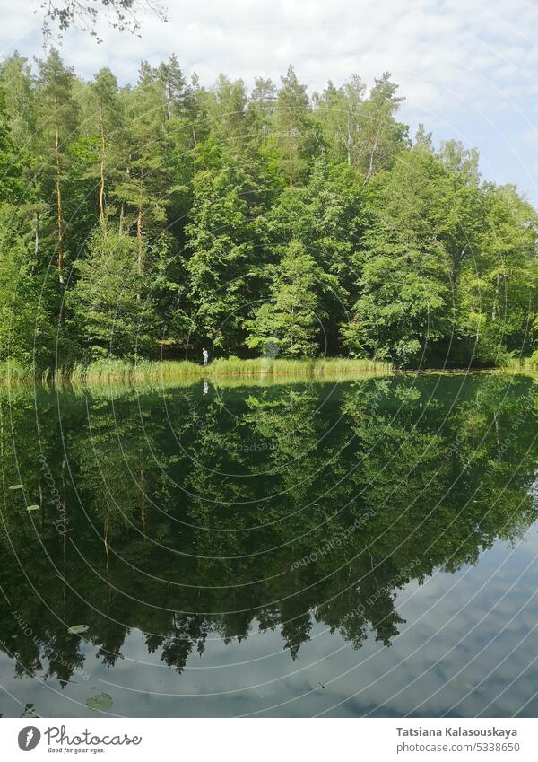 The green coniferous forest and the sky in the clouds are reflected in the water surface of the lake nature landscape scenery tranquil serene peaceful