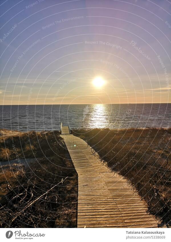 Sunset on the shore of the Baltic Sea on the Curonian Spit, Neringa, Lithuania. A wooden walkway leads down to the beach. The sun is reflected in the water at the golden hour.