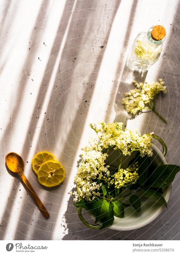 Elderflowers in a saucepan and ingredients for homemade syrup. Top view. Lemon Wooden spoon Ingredients Syrup Self-made Summer Beverage Glassbottle Cold Table