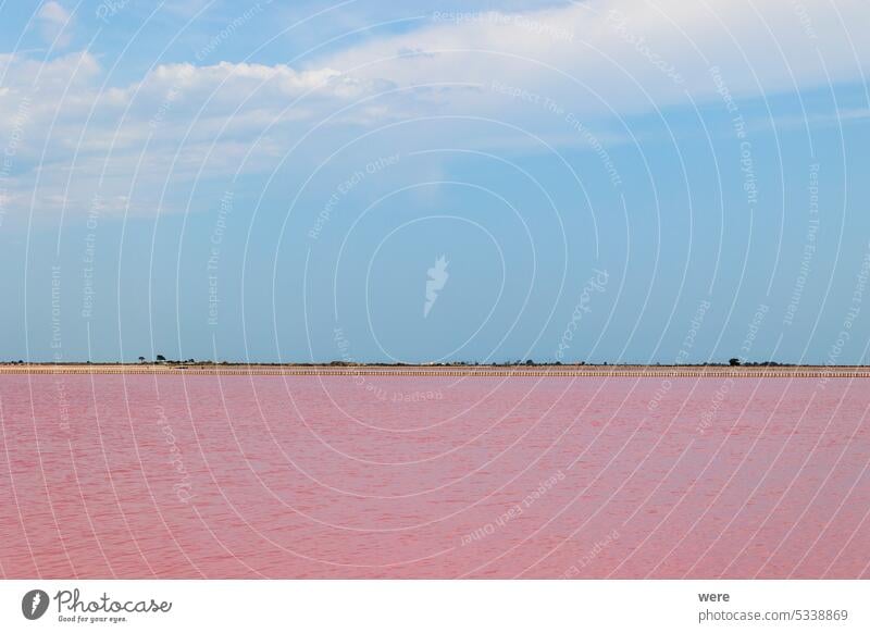 View over the pink salt pans of salt production near the town of Aigues-Mortes in the Camarque region of France Canal du Midi Canal du Rhône à Sète Evaporation