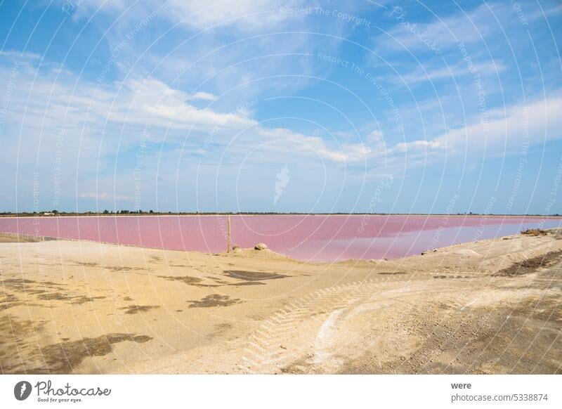 View over the pink salt pans of salt production near the town of Aigues-Mortes in the Camarque region of France Canal du Midi Canal du Rhône à Sète Evaporation