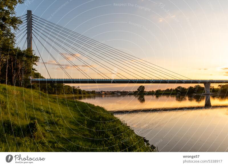 Evening mood on the Elbe near Schönebeck evening mood River River bank Twilight Bridge Phylon Bridge reflection Reflection in the water Water Exterior shot Sky