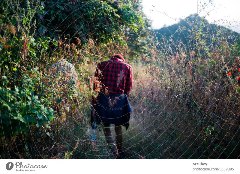 rear view of young man walking on forest person nature hiking outdoors adventure lifestyle travel freedom journey adult vacation tree exploration