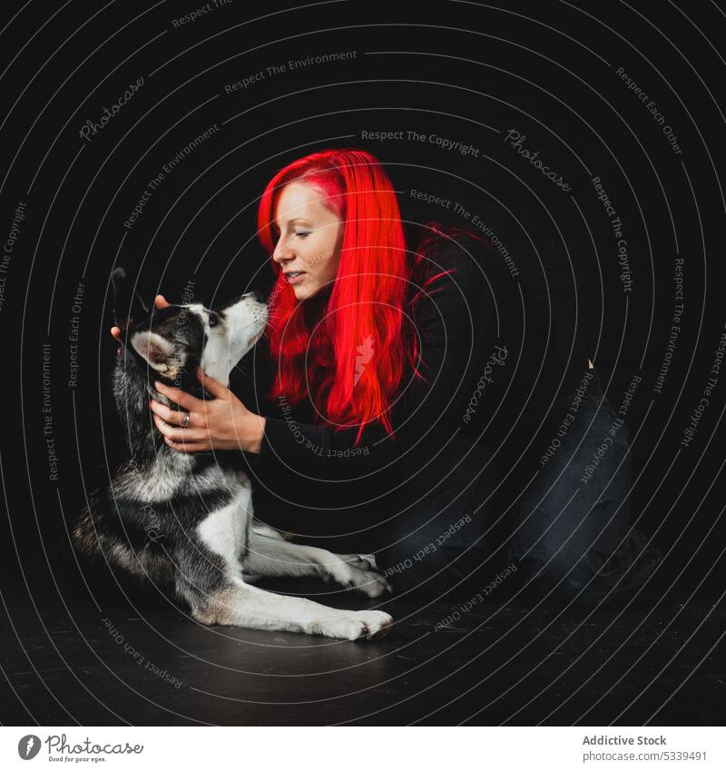 Cheerful woman with Siberian Husky in studio red head dog puppy red hair having fun pet smiling young happy animal domestic friend female owner cute lovely