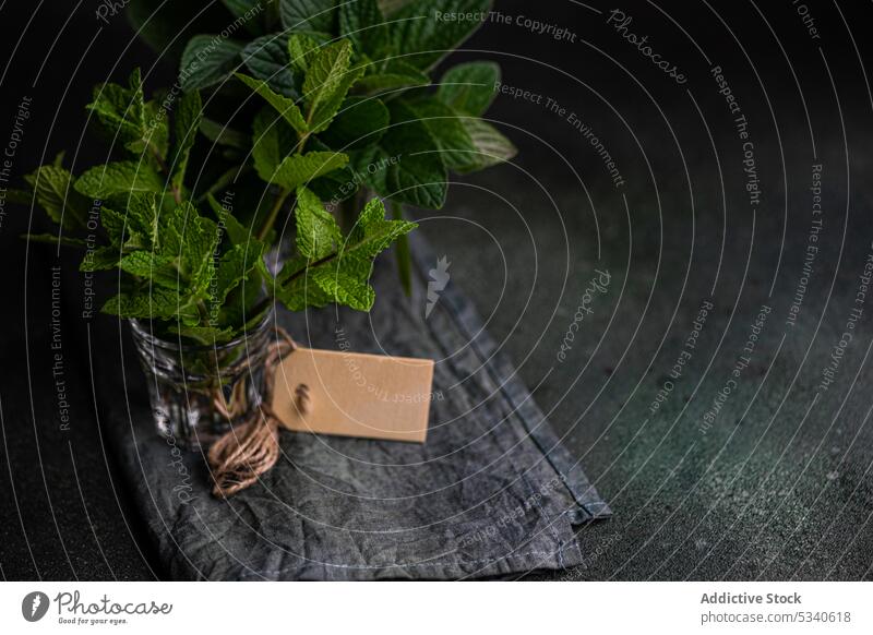 Fresh mint plant ready for cooking background bond bouquet diet eat food fresh green healthy hot keto ketogenic kitchen leaves meal napkin pepper mint