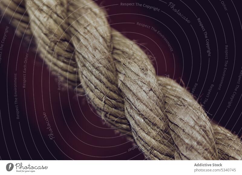 Strong Rope Connect Cooperation Strength Teamwork Togetherness bonding close-up concepts connection focus material rope ropes security strong team cord