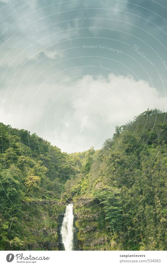 Forest waterfall in Hawaii Environment Landscape Water Clouds Summer Tree Bushes Virgin forest Hill Rock Waterfall Observe Hunting Vacation & Travel Old Large