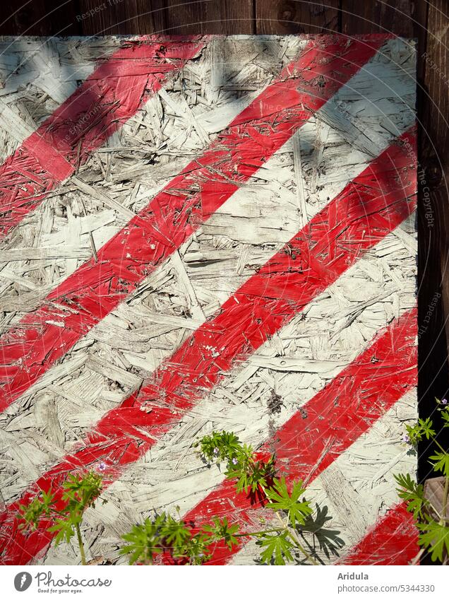 Attention! | OSB board with red and white stripes, in front of it a green plant No. 2 esteem Clue Signage Signs and labeling Caution Warning label sign peril