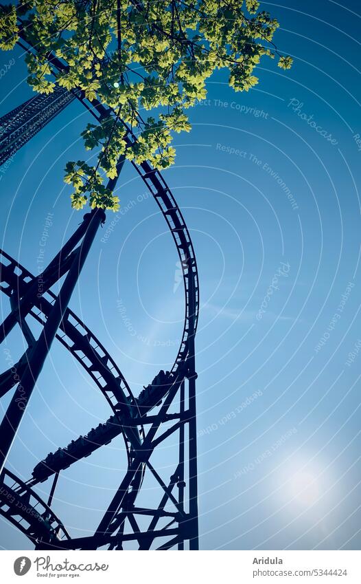 Roller coaster, blue sky, branch with green leaves and sun Theme-park rides leisure park swift fun Fairs & Carnivals Leisure and hobbies Amusement Park Sky