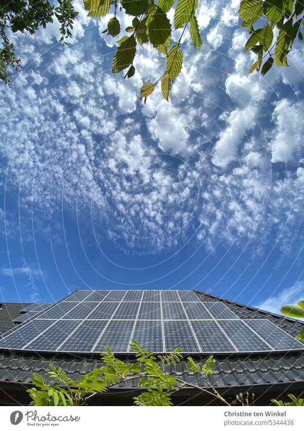 Photovoltaic on a house roof, slightly cloudy blue sky and green leaves photovoltaics Renewable energy Energy industry Environmental protection