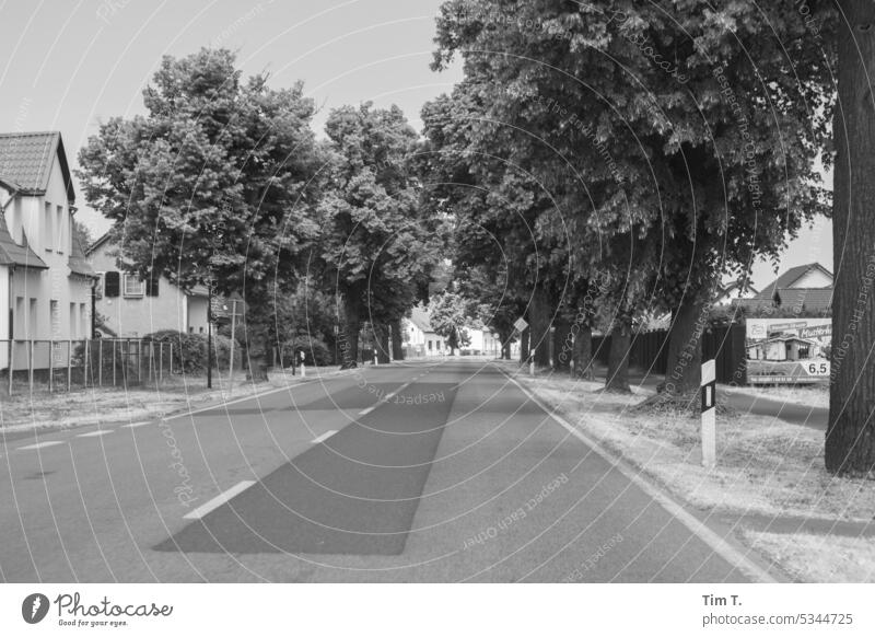 Main street in the village Brandenburg b/w Village Spring Black & white photo B/W Day Exterior shot Deserted Calm Loneliness Architecture Building B&W Street