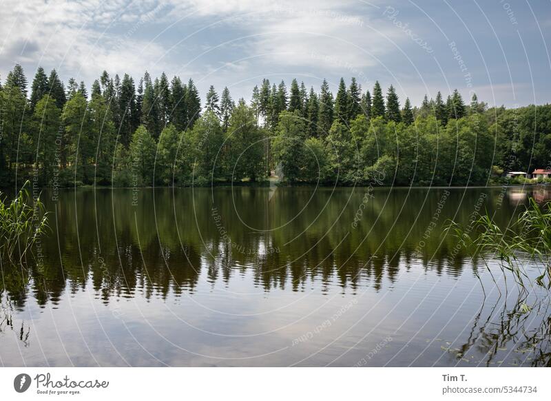 forest lake Forest lake Brandenburg Colour photo Spring Exterior shot Nature Deserted Tree Landscape Environment Day Lake Plant Lakeside Green Water Reflection