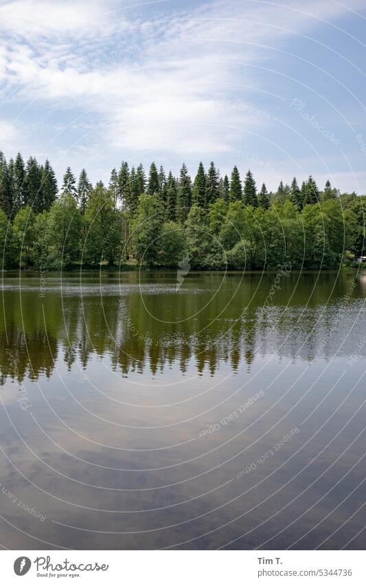 forest lake Forest lake Brandenburg Spring Lake Water Exterior shot Lakeside Nature Deserted Colour photo Reflection Tree Surface of water Sky Landscape Idyll