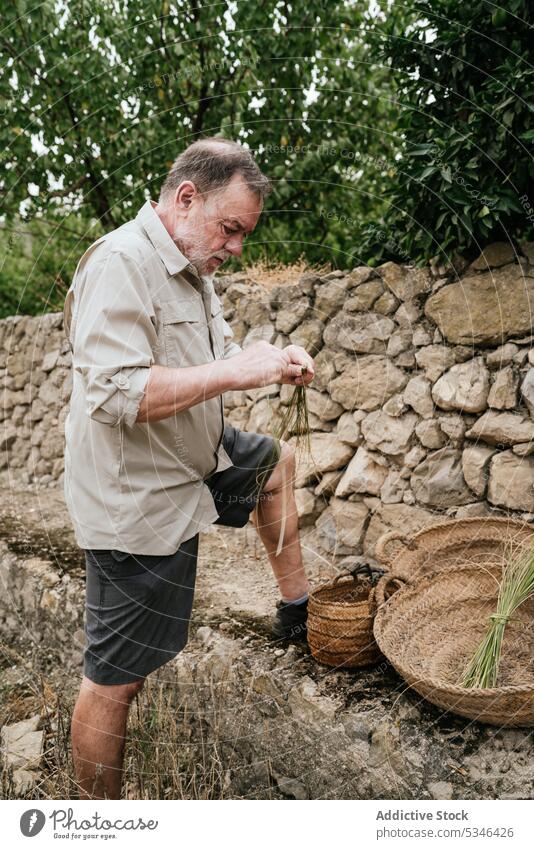 Elderly man using esparto grass while weaving basket weave artisan countryside craft nature focus work concentrate male casual beard fiber serious