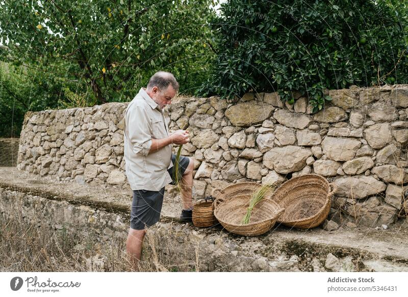 Elderly man using esparto grass while weaving basket weave artisan countryside craft nature focus work concentrate male casual beard fiber serious