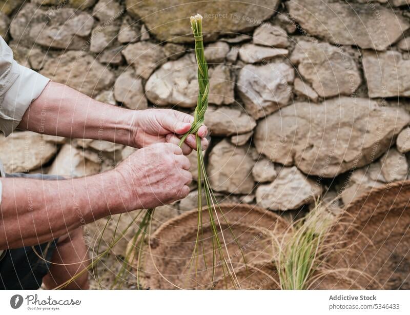 Crop man using esparto grass while weaving basket weave artisan countryside craft nature focus work concentrate male casual fiber small business rural labor