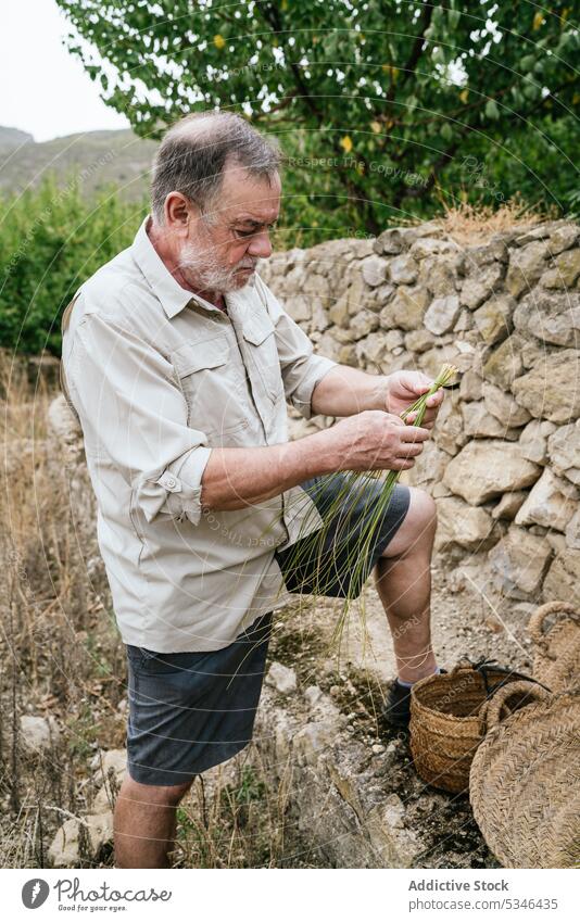 Elderly man using esparto grass while weaving basket weave artisan countryside craft nature focus work concentrate male casual beard fiber serious