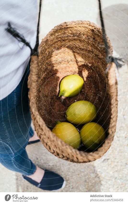 Crop anonymous woman with ripe lemons into wicker basket on farm harvest countryside farmer work fresh fruit cultivate female casual agriculture garden rural