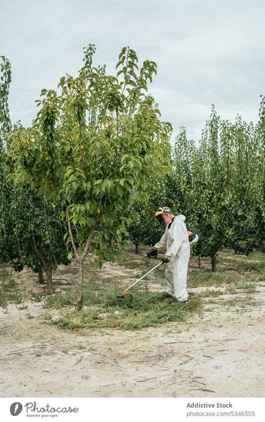 Anonymous senior man clearing grass with brush cutter farmer garden countryside work prepare summer male elderly aged gardener labor equipment industry daytime