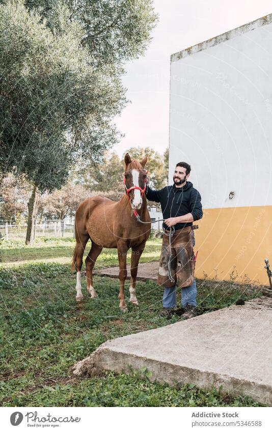 Man holding horse at stable man groom stableman equine animal halter countryside equipment mammal equestrian stallion professional uniform male rural summer