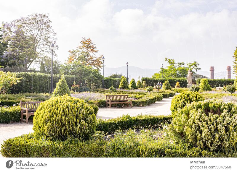 Green park in early summer Park Relaxation bench relax bush tranquillity Summer Sky cloud Barcelona Mont Juic Tourism relaxation Exterior shot vacation Nature