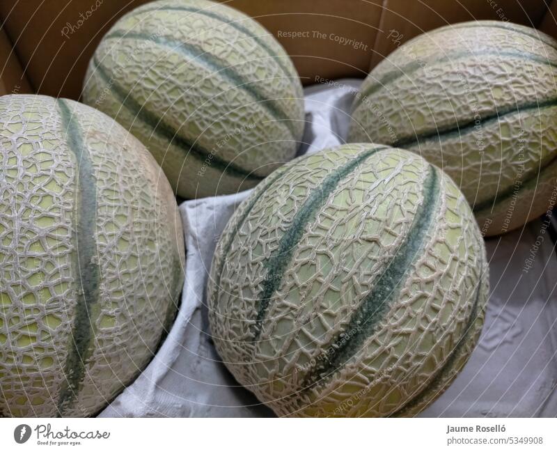 four cantaloupe nmelons close-up in their transport box four cantaloupe melons closeup shipping crate tuscan yellow yellows yellowish funky cape gooseberry