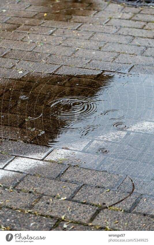 Finally rain Rain Rain puddle raindrops Drought aridity paving Puddle puddle picture Wet Water Weather Rainy weather Street Exterior shot Deserted Colour photo