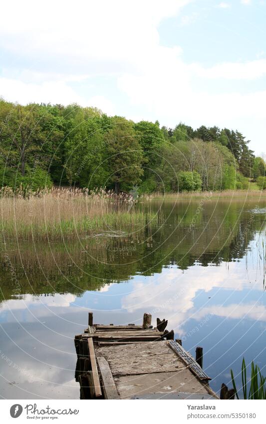 photo reflex in the lake from the trees and the sky calm reflection relaxing wood water landscape scenery summer forest blue travel view green pine sunny