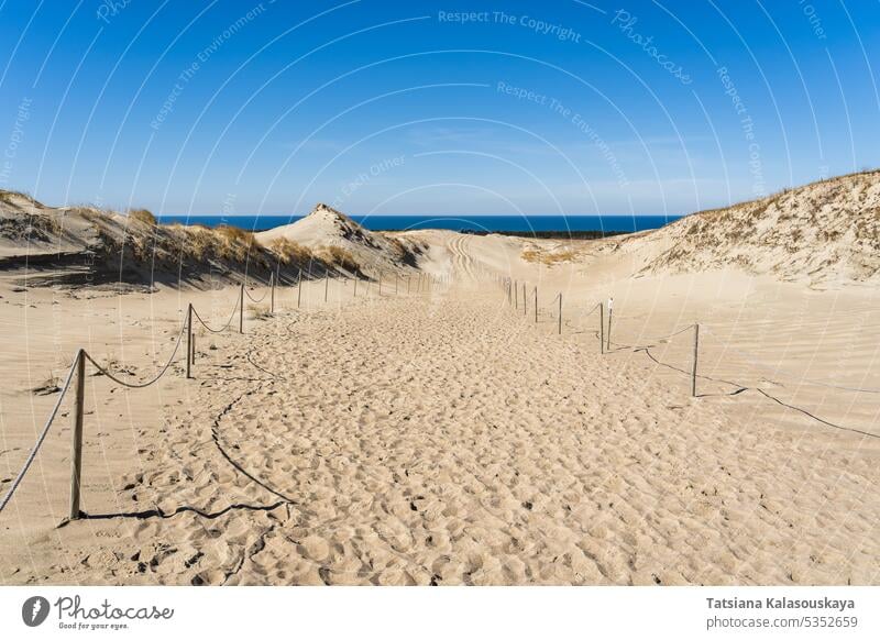 The Gray Dunes, or the Dead Dunes is sandy hills with a bit of green specks at the Lithuanian side of the Curonian Spit Neringa desert wind erosion landscape