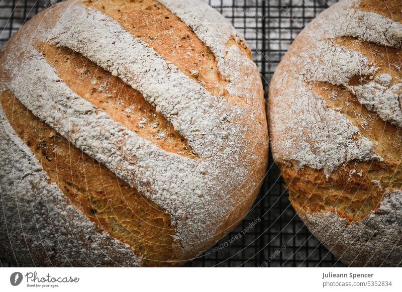 Two freshly baked loaves of bread fresh baked baked bread homemade homemade bread home made bread baked fresh healthy bread bread freshly baked wholesome