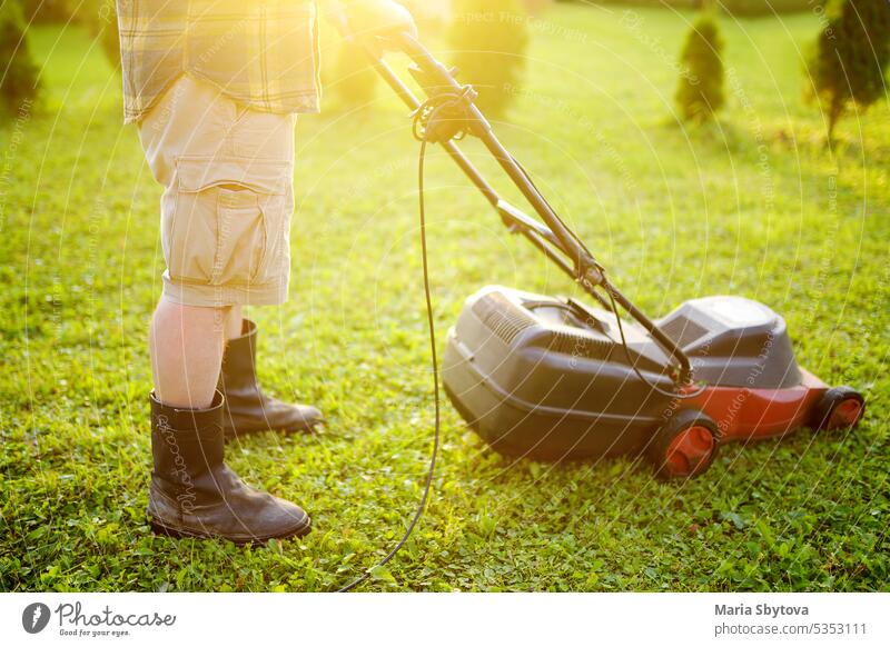 Mature man gardener cutting grass in his backyard with lawn mower on summer sunny day. Lawnmower machine for trimming grass. Seasonal works in the garden.