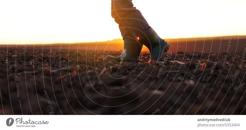 Agriculture. Cropped shot of view businessman farmer in rubber boots walks along plowed field. Agronomist checking and analyses fertile soil on sunrise. Agribusiness.