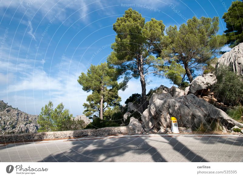 Kilometer 10 Environment Nature Landscape Plant Sky Beautiful weather Warmth Tree Rock Mountain Island Esthetic Stone pine Forest Blue Green Street Milestone