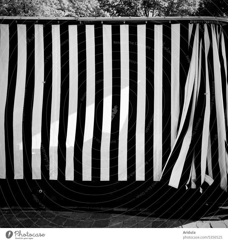 Weekly market | market stall curtain Farmer's market Stripe black-white Market stall tarpaulin Markets Exterior shot Shopping Sell Paving stone trees Cloth