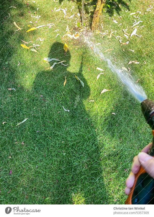 The butterfly bush desperately needs water in the heat soak Garden Cast Water Summer Irrigation aridity Nature Lawn Light and shadow Water hose Garden shower