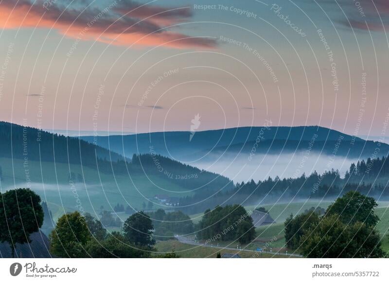 Morning in the Black Forest Dawn Fog Landscape Nature Tree Subdued colour Moody Meadow Climate Sky Environment Trip Hill Beautiful weather Morning fog Rural